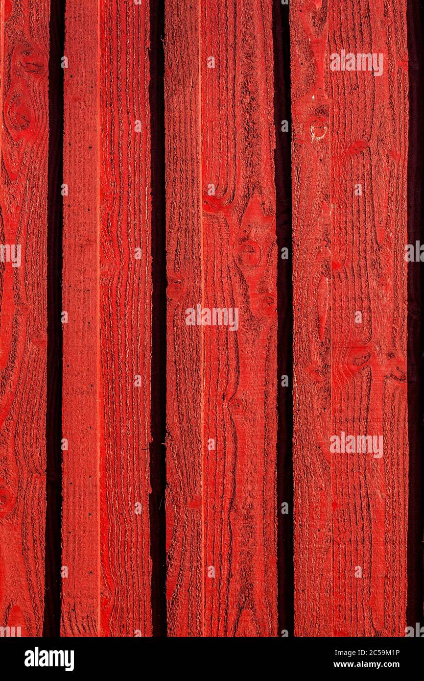 L&rsquo;ultime cabane ostréicole de France risque d&rsquo;être la dernière à disparaître dans l&rsquo;effondrement économique