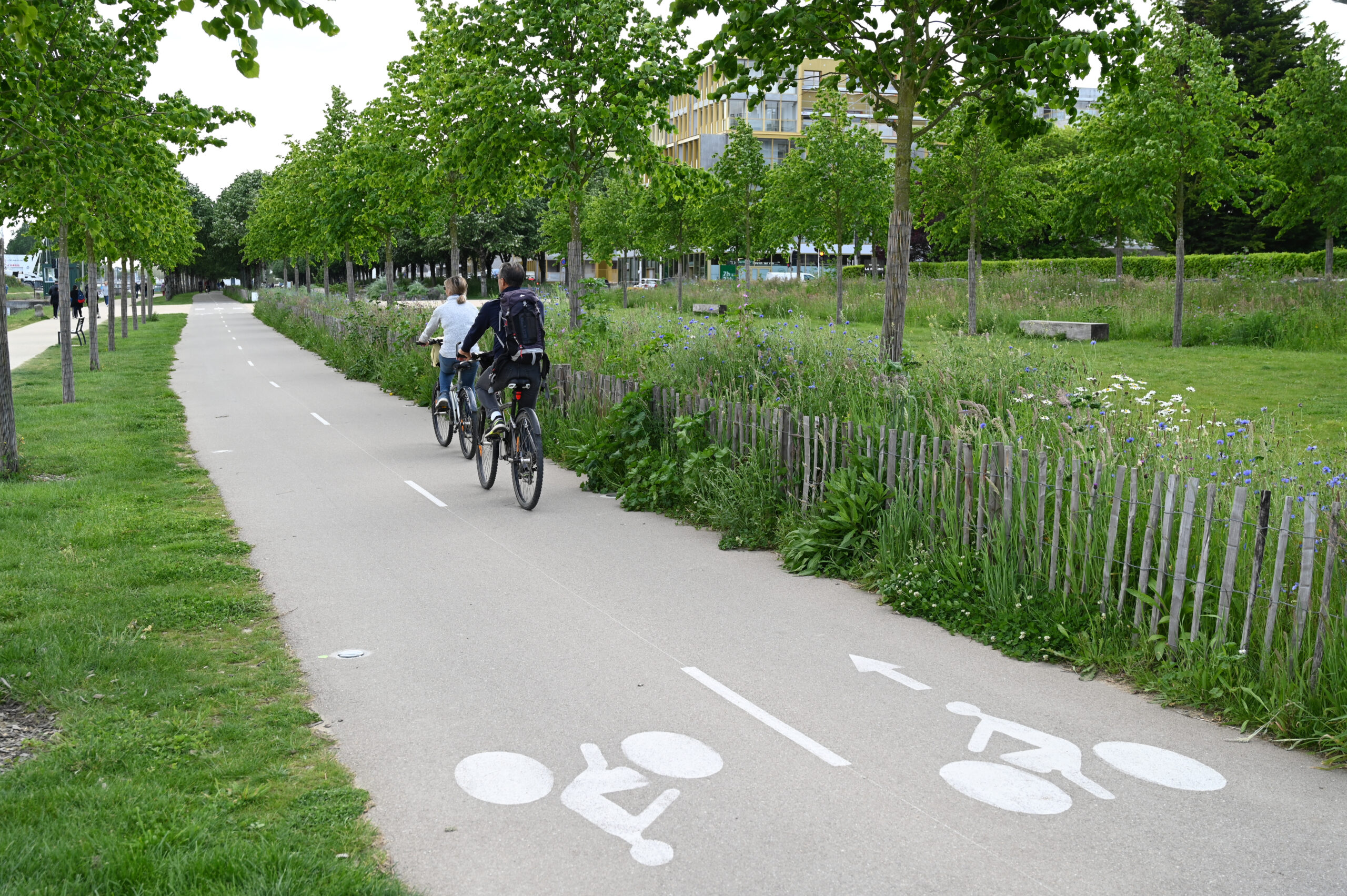 387 000 € pour une piste cyclable… et un retour au vide en quelques mois