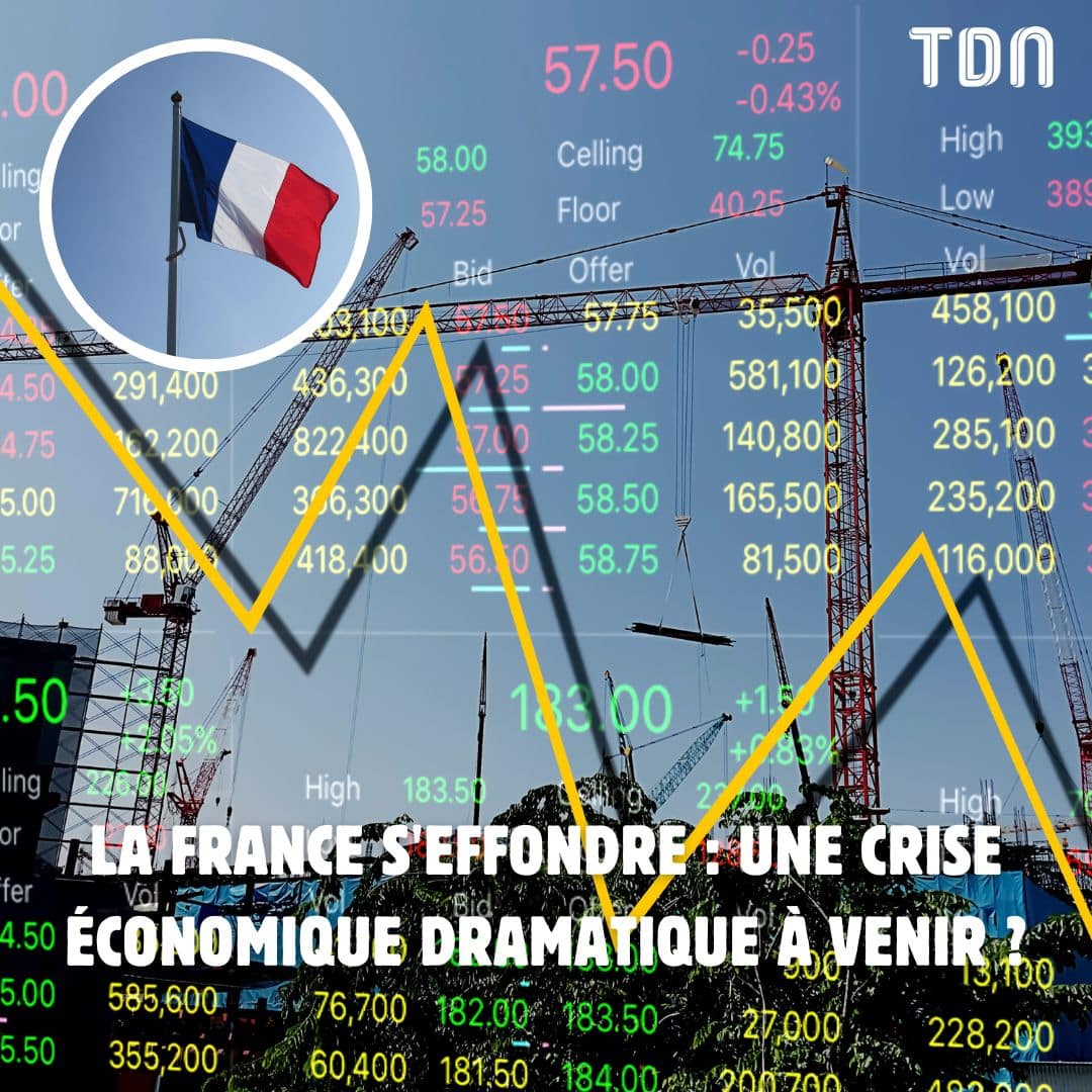 34 000 euros pour un lynx : la France en crise économique