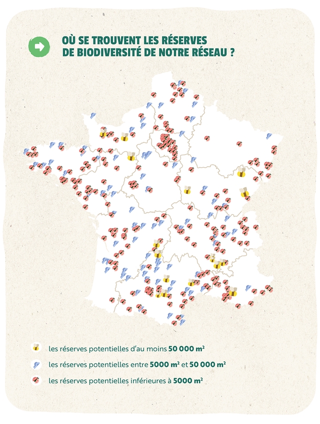 L&rsquo;Échec des Réserves : Dix-Sept Ans d&rsquo;Autorisations sans Responsabilité